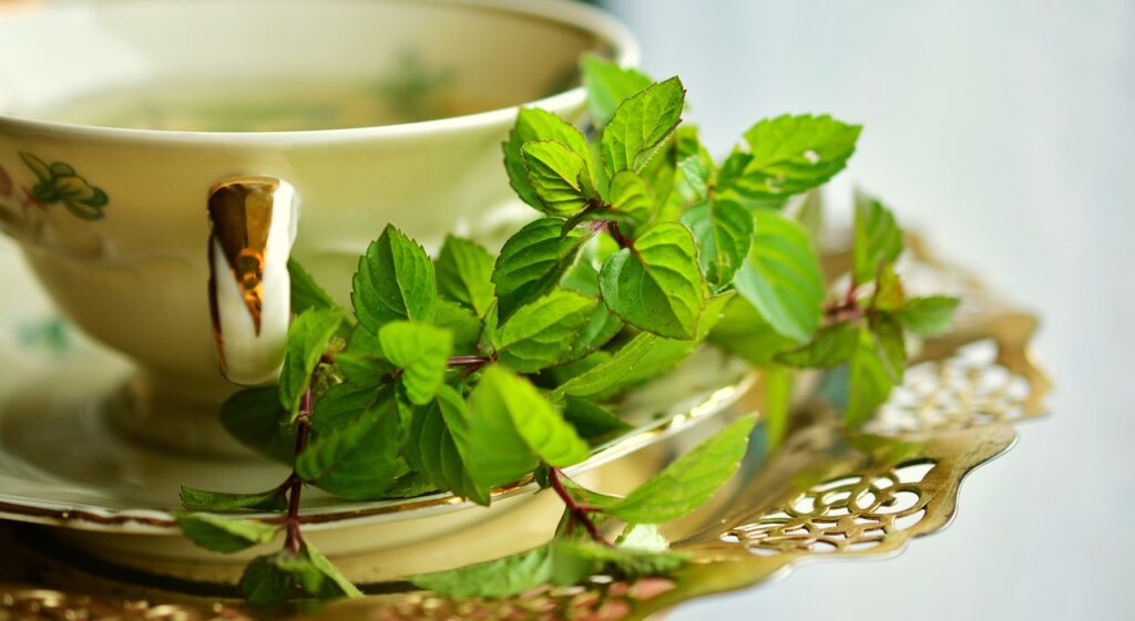 peppermint, peppermint tea, tea cup-2816012.jpg