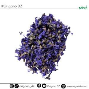 زهرة البنفسج