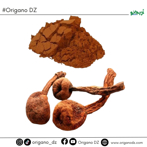 هواناربو ماتشو (Huanarpo Macho)
