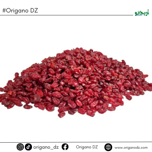 Barberry Zereshk نبات البرباريس