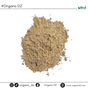 فطر عرف الأسد (Lion’s Mane)