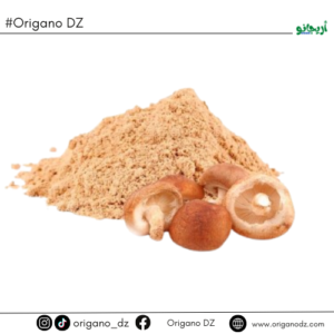 فطر الشيتاكي (Shiitake Mushroom)