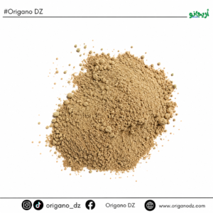 فطر الشيتاكي (Shiitake Mushroom)